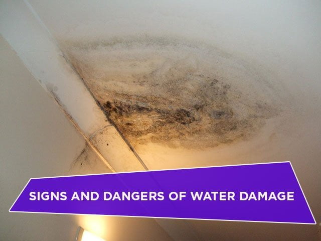 Signs and Dangers of Water Damage