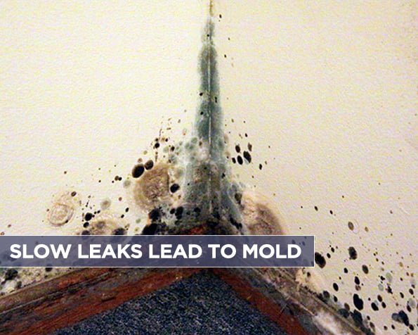 Slow Leaks Lead to Mold