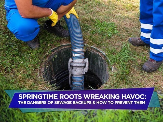 Springtime Roots Wreaking Havoc: The Dangers of Sewage Backups and How to Prevent Them