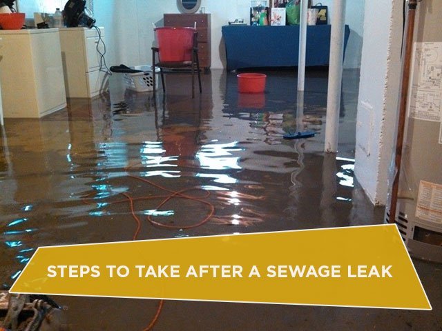 Steps to Take After a Sewage Leak