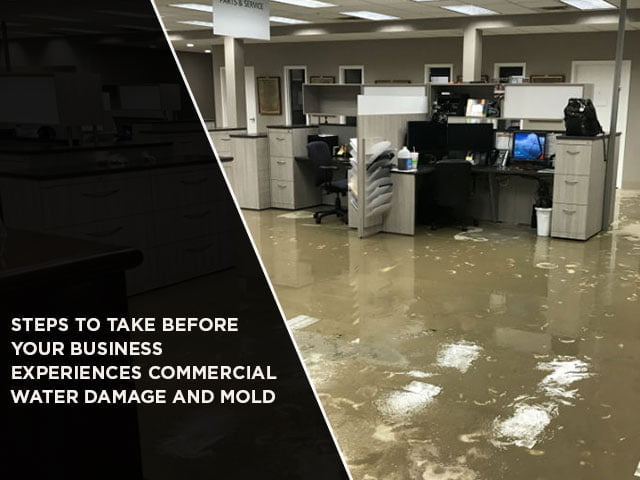 Steps To Take Before Your Business Experiences Commercial Water Damage And Mold