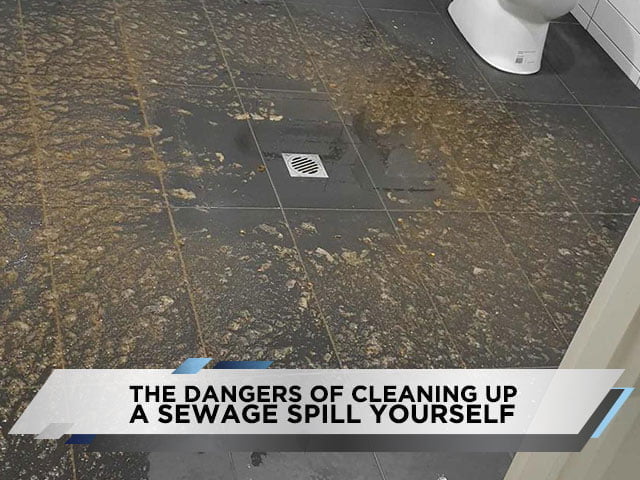 The Dangers of Cleaning Up a Sewage Spill Yourself