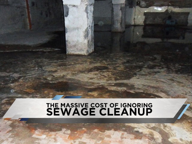 The Massive Cost of Ignoring Sewage Cleanup