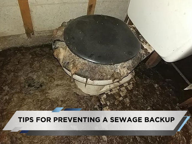Tips for Preventing a Sewage Backup