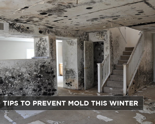 Tips to Prevent Mold This Winter