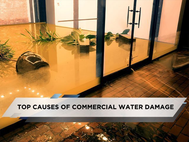 Top Causes of Commercial Water Damage