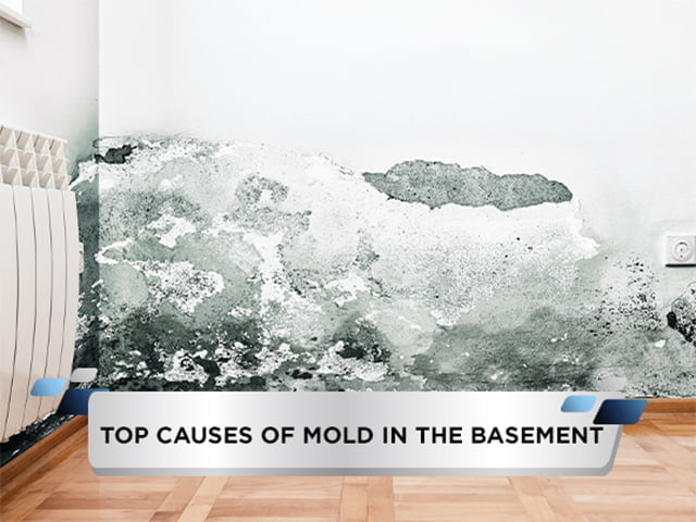 Top Causes of Mold in the Basement