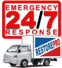 RestorePro Get Help now