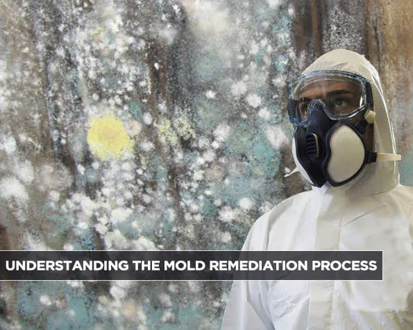 Understanding the Mold Remediation Process