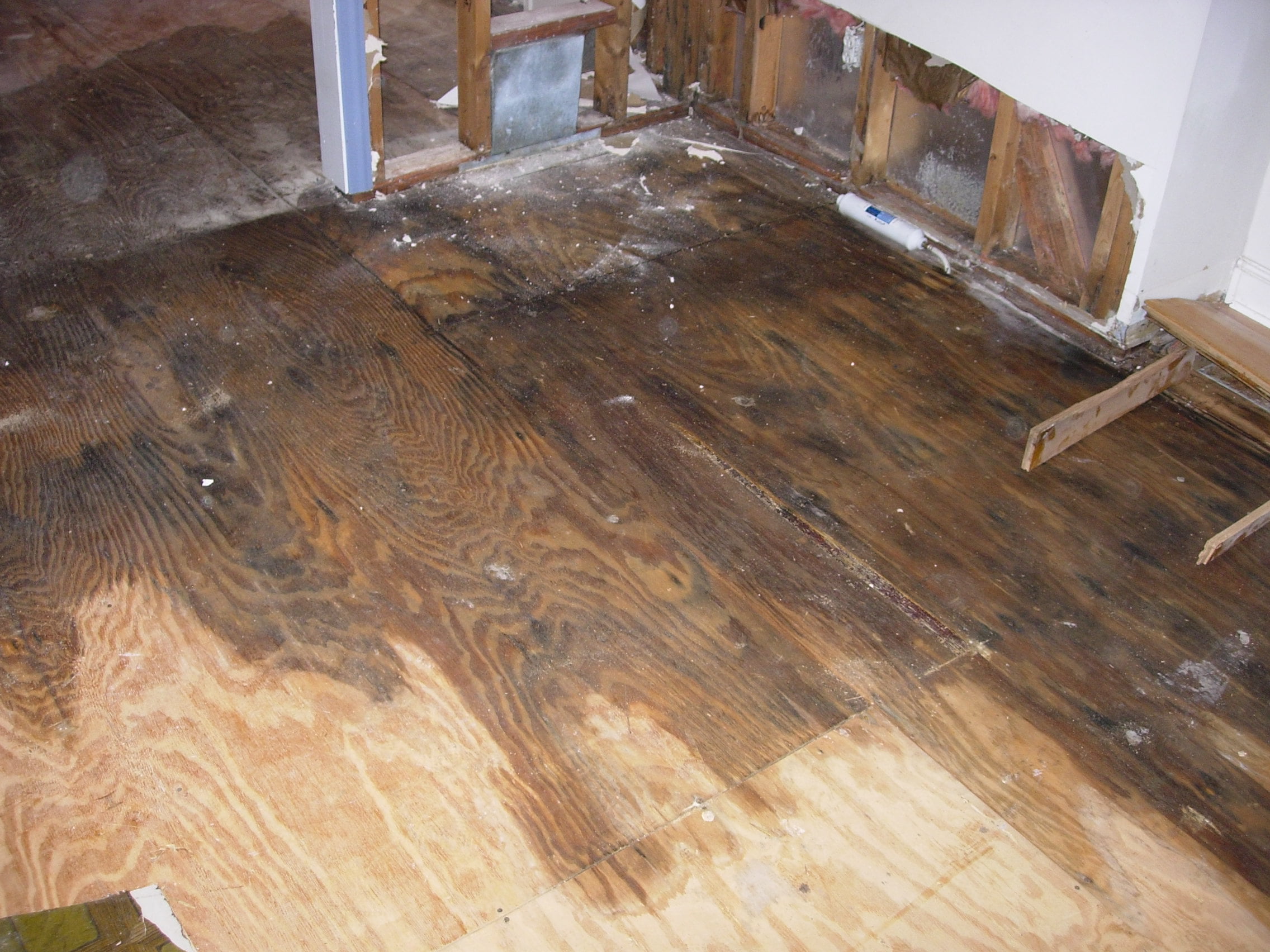 Water Damage Restoration
