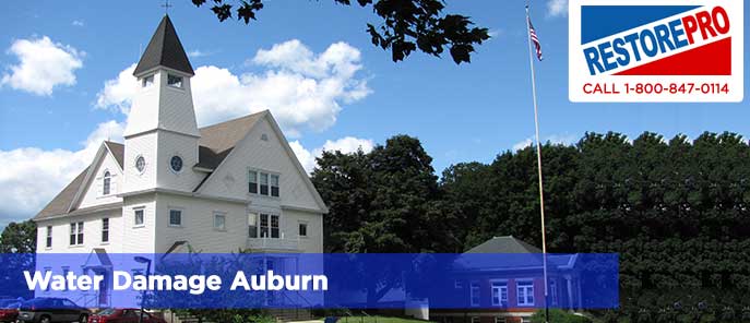 Water Damage Auburn