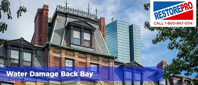 Water Damage Back Bay
