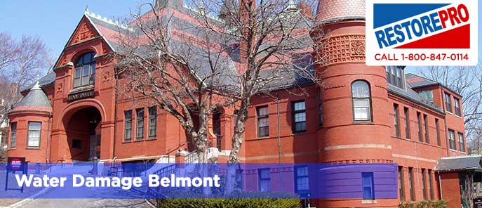 Water Damage Belmont