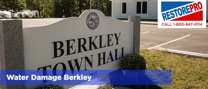 Water Damage Berkley