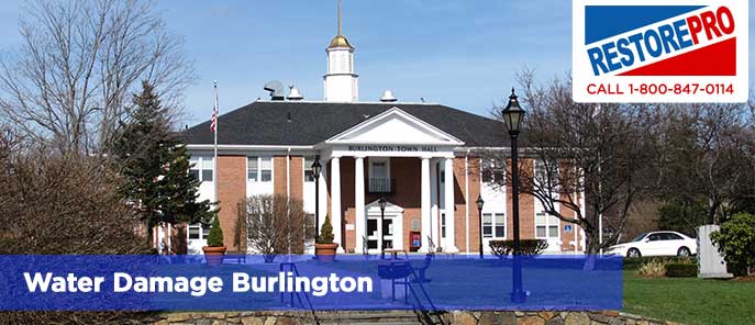 Water Damage Burlington