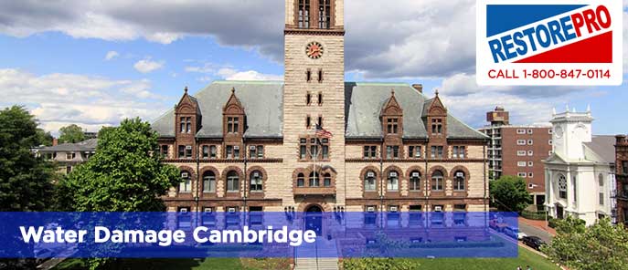 Water Damage Cambridge