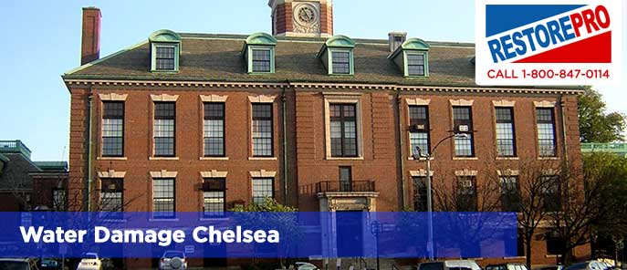 Water Damage Chelsea