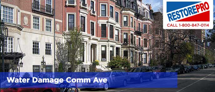 Water Damage Comm Ave