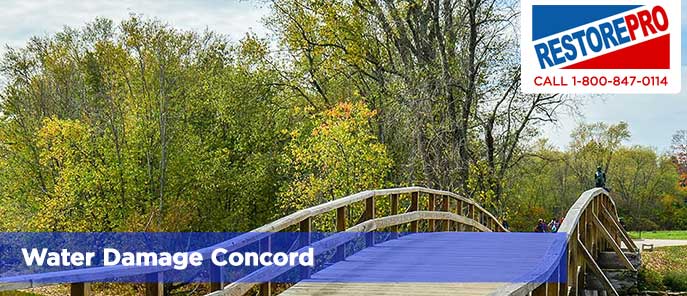 Water Damage Concord