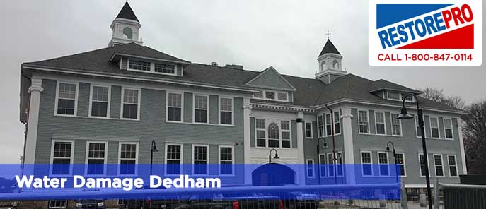 Water Damage Dedham