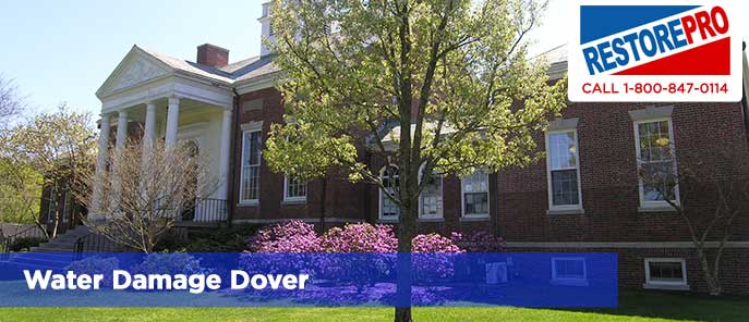 Water Damage Dover