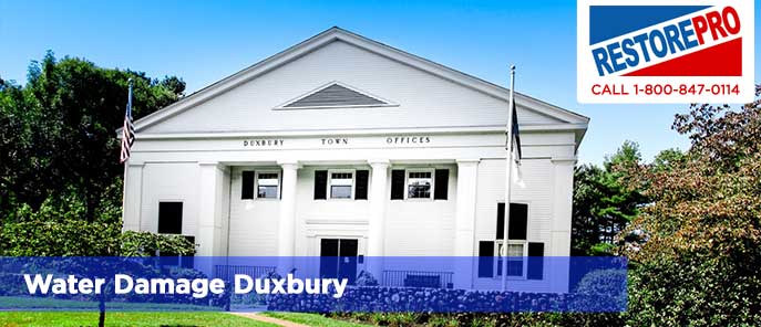 Water Damage Duxbury