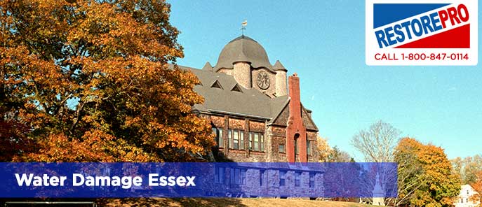 Water Damage Essex