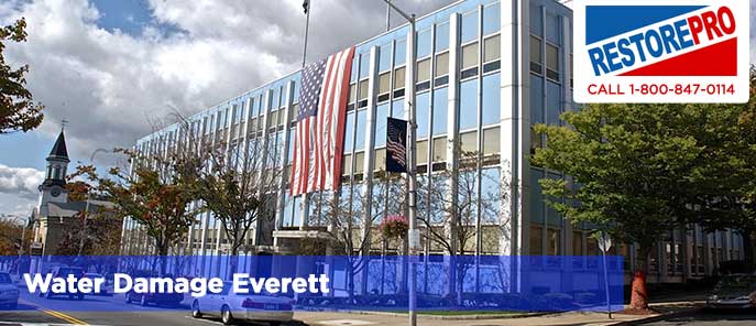 Water Damage Everett