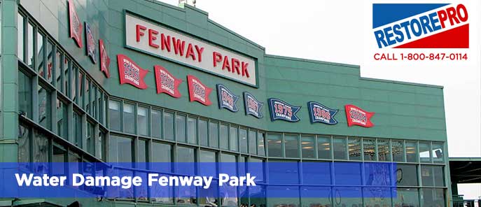 Water Damage Fenway Park