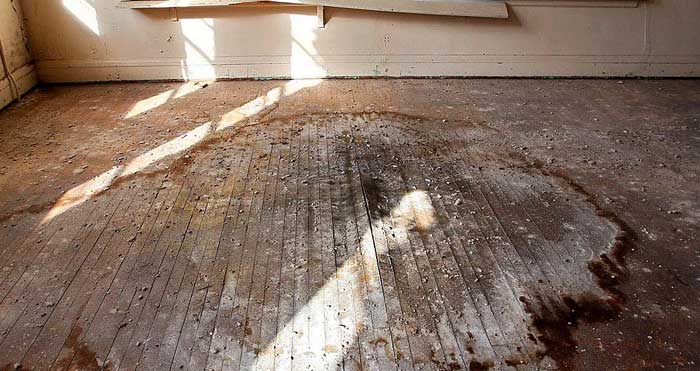 Water Damage Repair