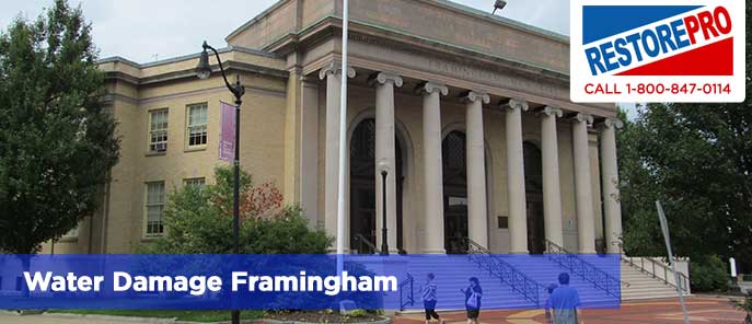 Water Damage Framingham