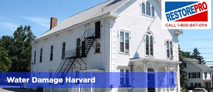 Water Damage Harvard