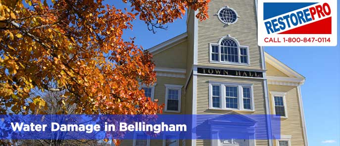 Water Damage in Bellingham