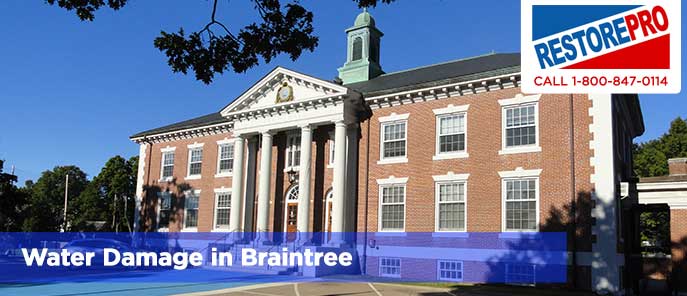 Water Damage in Braintree