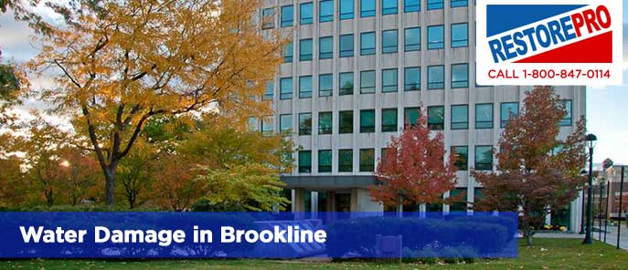 Water Damage in Brookline