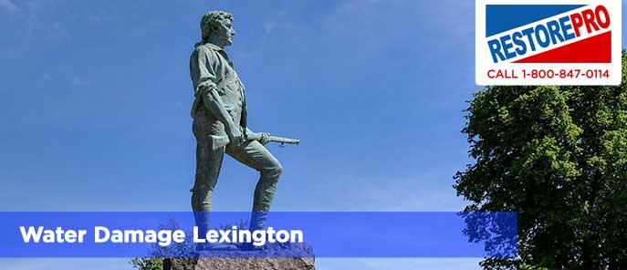 Water Damage Lexington 