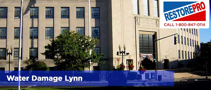 Water Damage Lynn