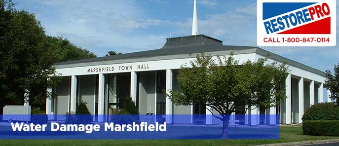Water Damage Marshfield