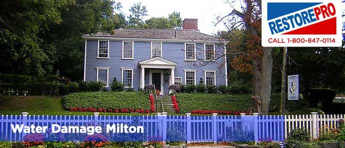 Water Damage Milton