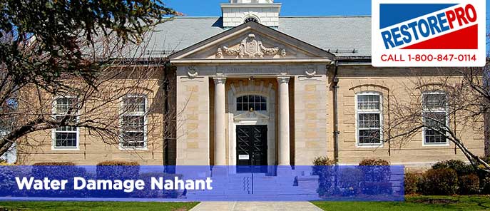 Water Damage Nahant