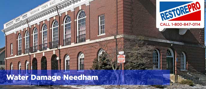 Water Damage Needham