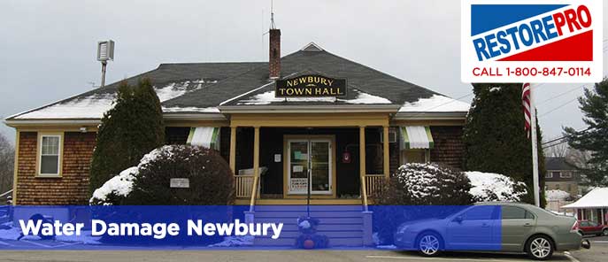 Water Damage Newbury