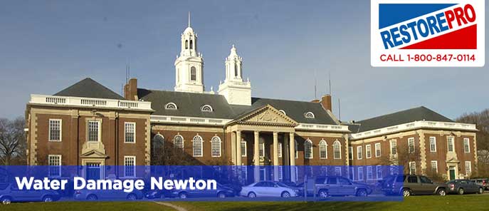 Water Damage Newton