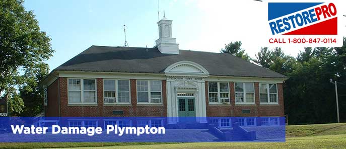 Water Damage Plympton