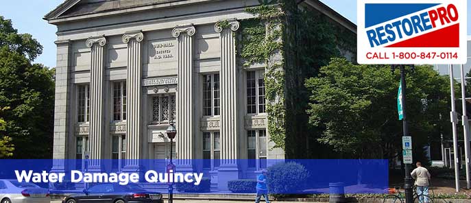 Water Damage Quincy