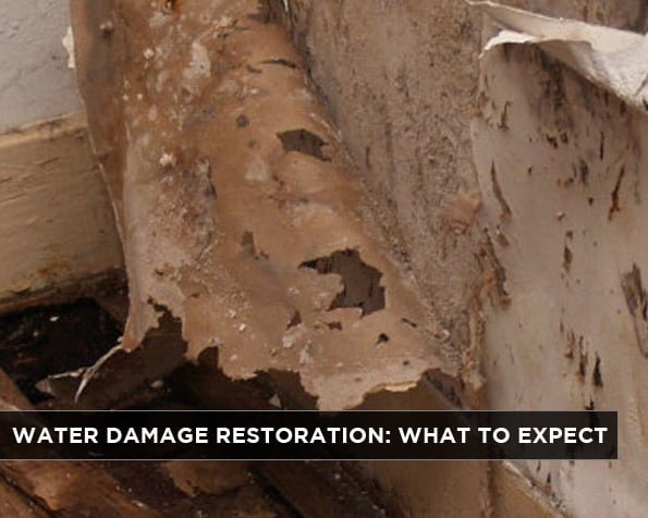 Water Damage Restoration: What to Expect