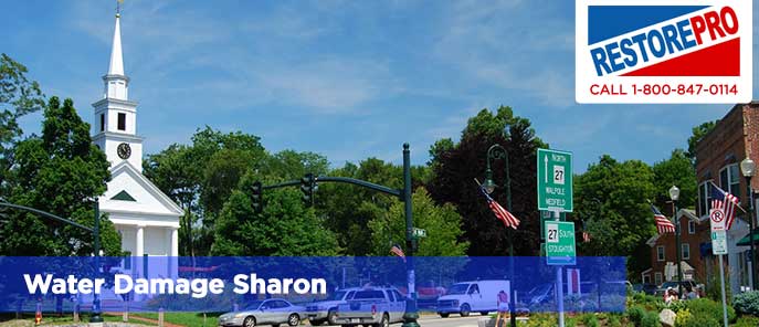 Water Damage Sharon