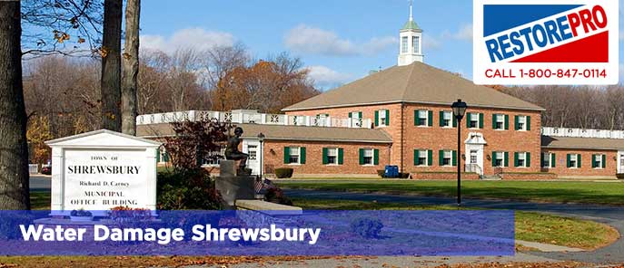 Water Damage Shrewsbury