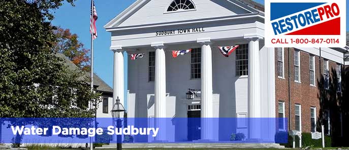 Water Damage Sudbury