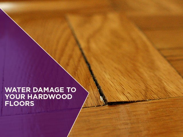 Water Damage to Your Hardwood Floors